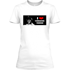 Yorkshire Terrier B&W